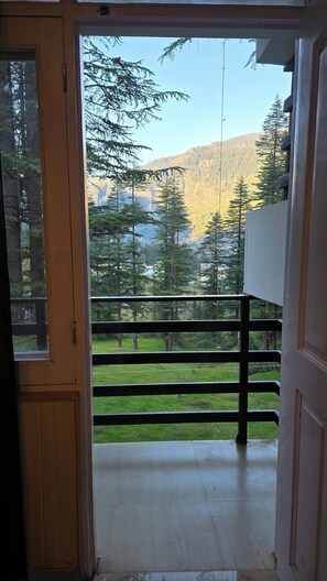 Interior - Hils & Paw (Manali)