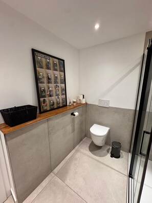 Douche, sèche-cheveux, serviettes fournies, papier toilette