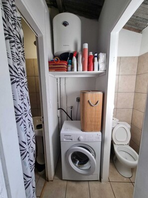 Shower, towels, toilet paper