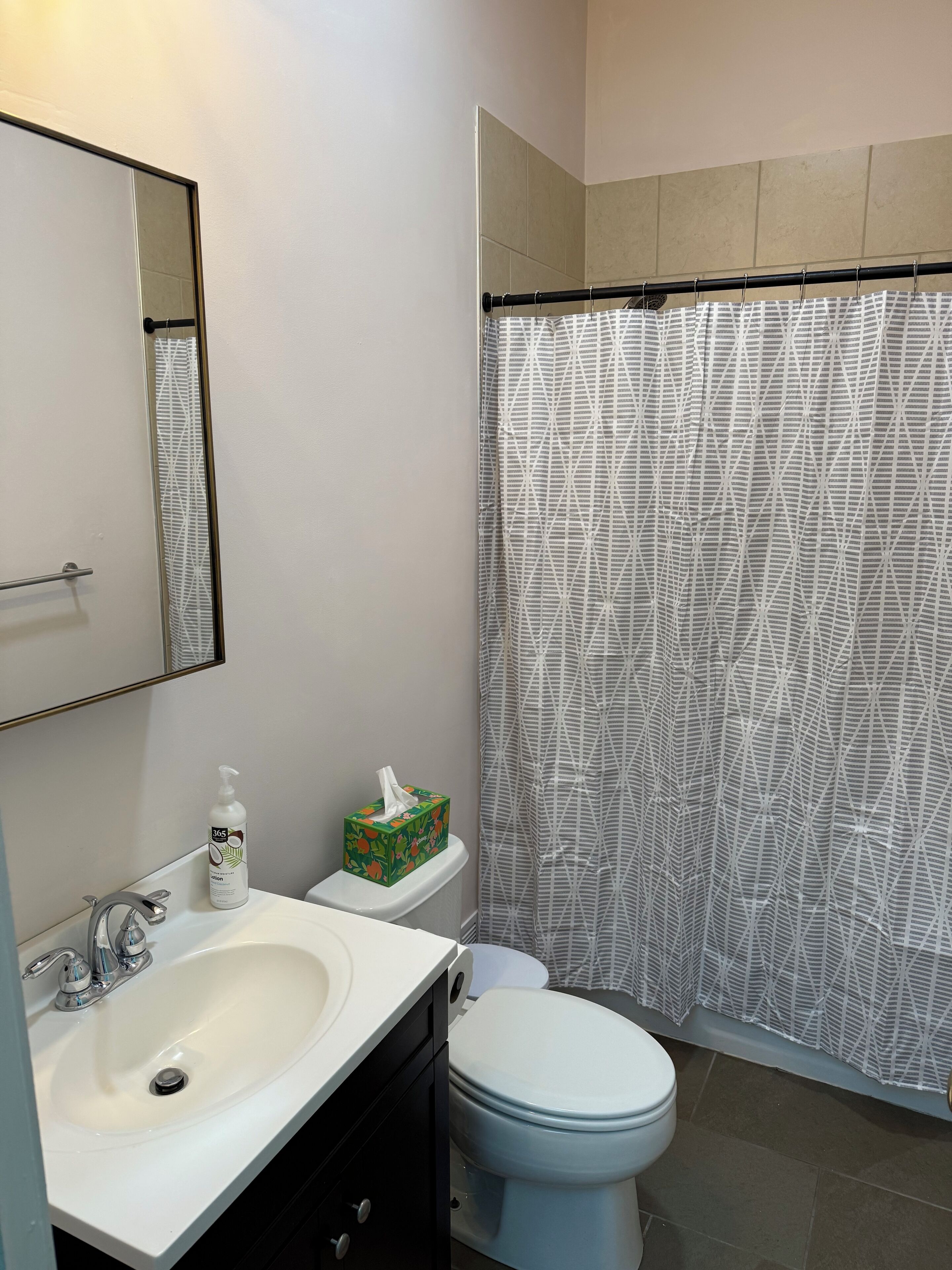 Hair dryer, towels, soap, toilet paper