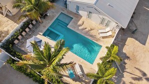 Vista aerea di una zona piscina con lettini, palme e un edificio sullo sfondo.