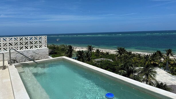 Piscina com vista para o oceano e praia, rodeada por palmeiras.