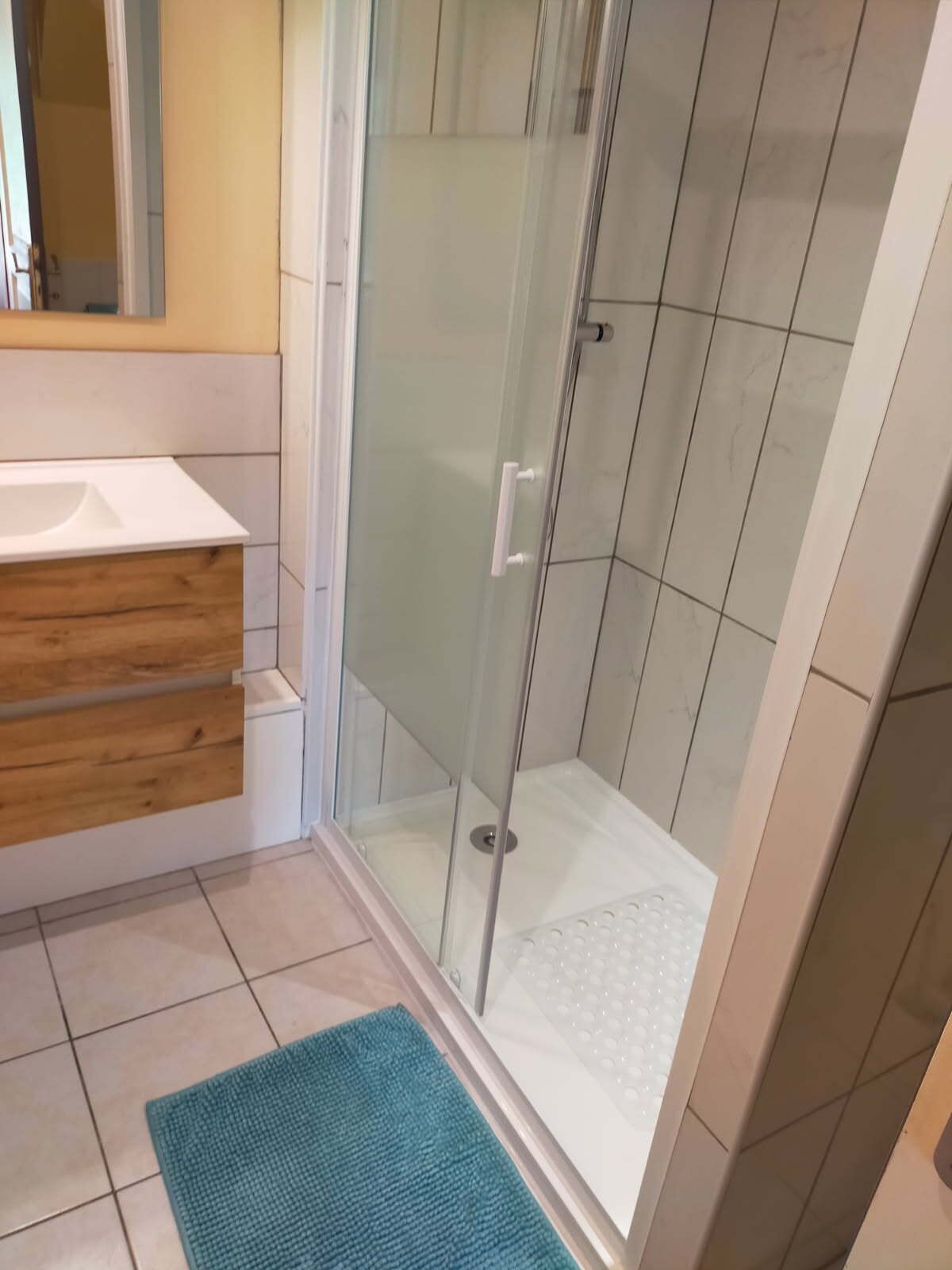 Shower, hair dryer, toilet paper