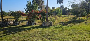 Property grounds - peace in God's presence - The perfect nest (Naples)