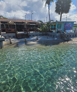 Pool - 214 Superior Single Room in a waterfront hotel in Singer Island, FL (Riviera Beach)