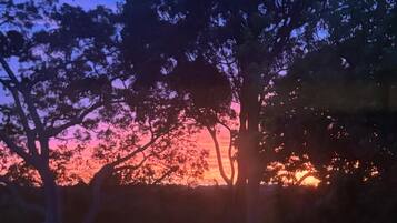 Vista desde la propiedad