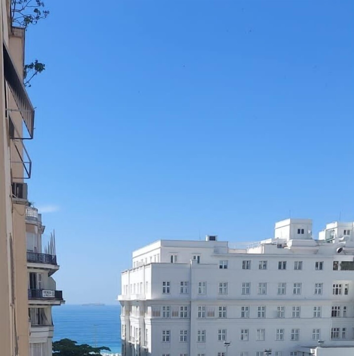 オーナーのプロフィール画像