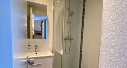 La TaniĂšre ski appartement belle plagne