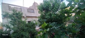 Property grounds - Dar Hamchan (Alnif)