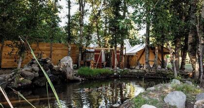 Duck Pond Oasis - Glamping