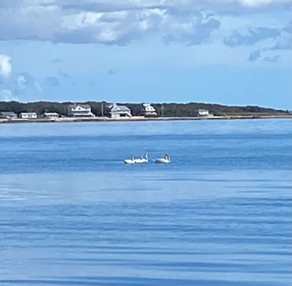 A coastal scene with a row of houses along the shore and a small boat in the water. - 2-bedroom ocean-front Fairhaven home overlooking Buzzards Bay (Fairhaven)