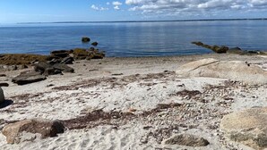En strand med store sten og småsten, en klar blå himmel og roligt vand.