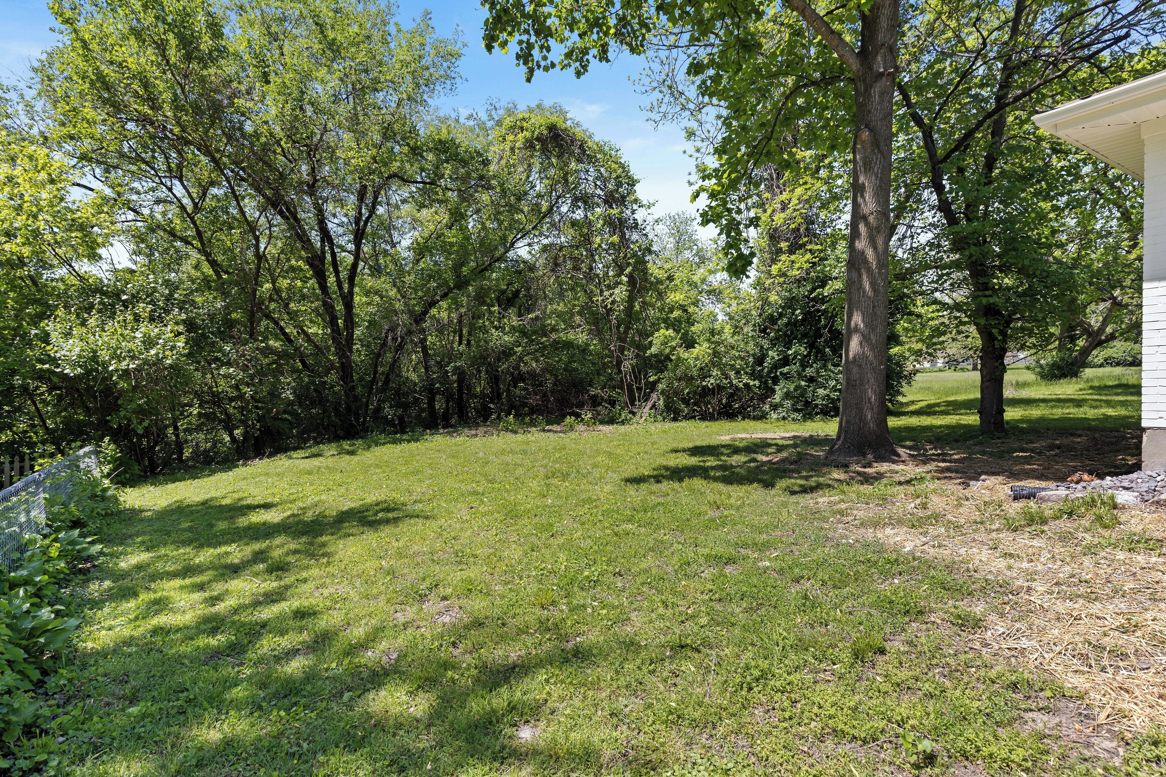 A grassy backyard with trees and a white building.
