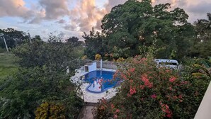 Una piscina rodeada de abundante vegetación y árboles.