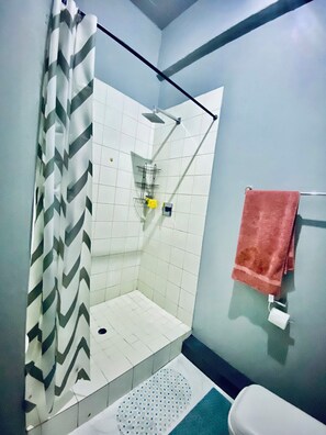 Serviettes fournies, savon, papier toilette