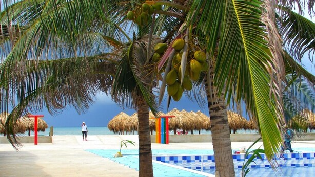 Una playa con palmeras, una piscina y una estructura de techo de paja.
