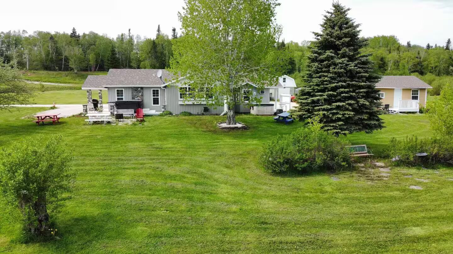 A residential area with a large house, a smaller house, and a large evergreen tree. There are picnic tables and a bench in the yard.