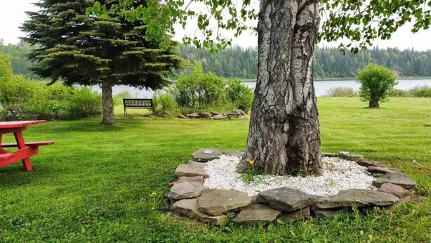 A picnic table, a large tree, and a lake in the background. - Great for couples - The Riverview Suite (Reidville)