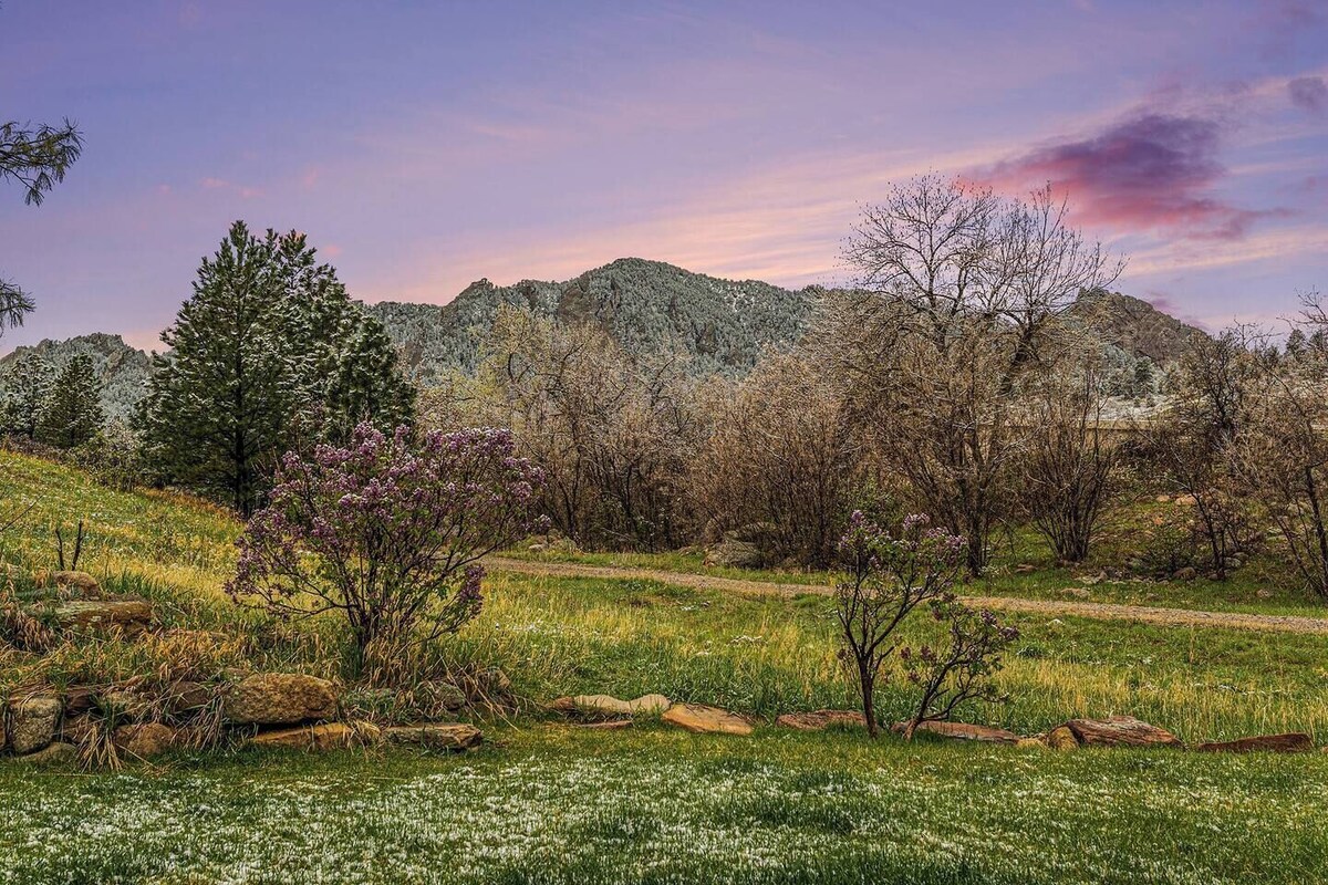 Imagen de perfil del propietario o de la propietaria