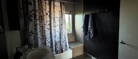 Secadora de cabello, bidet, toallas, jabón