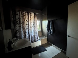 Hair dryer, bidet, towels, soap