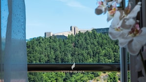 Ein Schloss auf einem Hügel, umgeben von üppiger Vegetation.