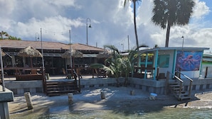 Una piscina cristalina en un entorno tropical, con una palmera y un edificio que muestra el letrero 