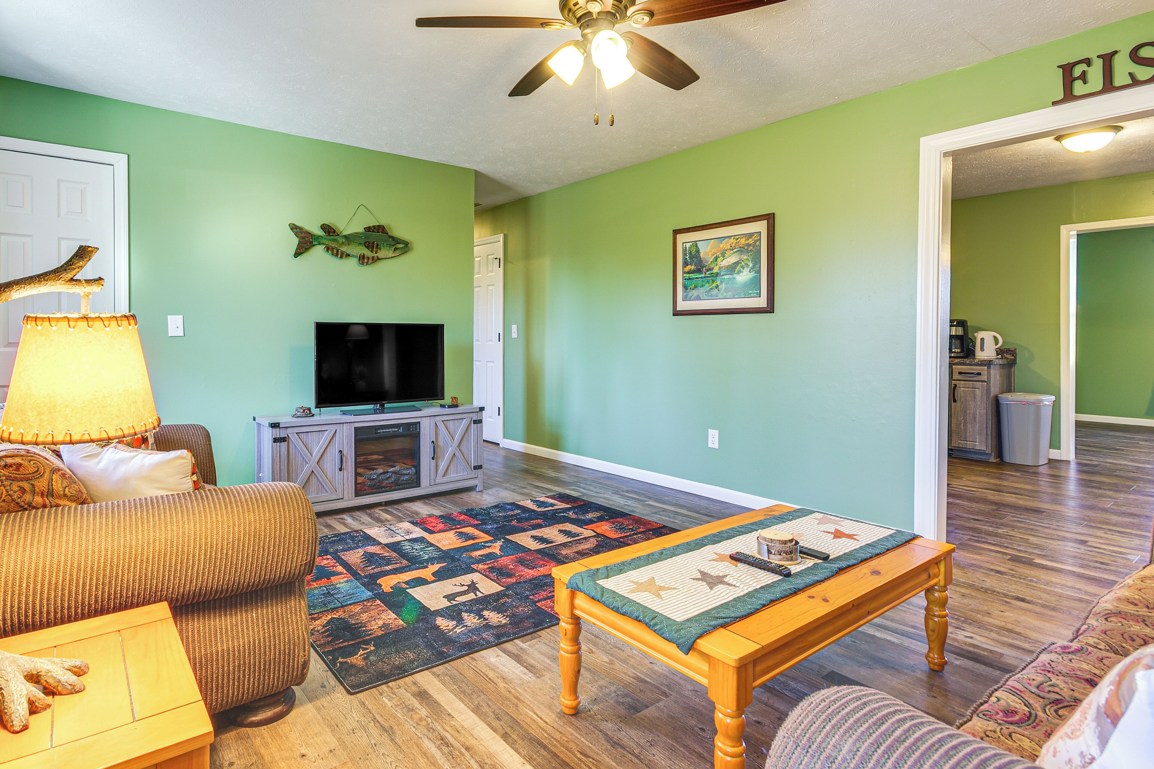 Télévision, cheminée, livres, vidéothèque