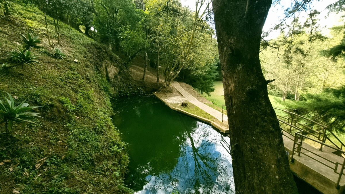 Imagen de perfil del propietario o de la propietaria