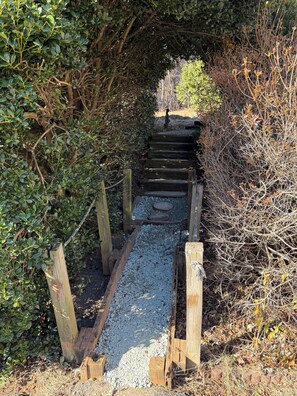 Property grounds - Faber VA Hilltop Escape - On Route 151 - Sleep 10 - New Sauna, Firepit and Deck (Faber)
