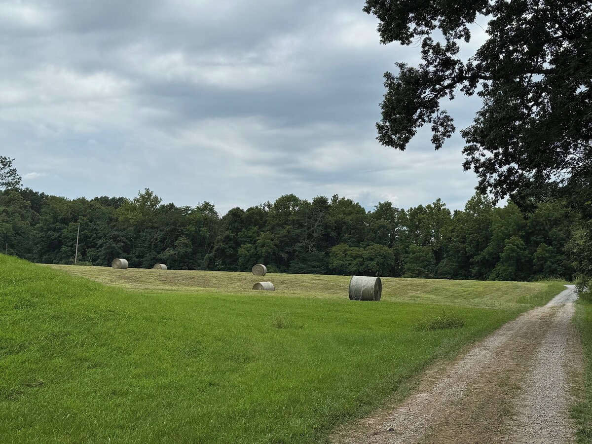 オーナーのプロフィール画像