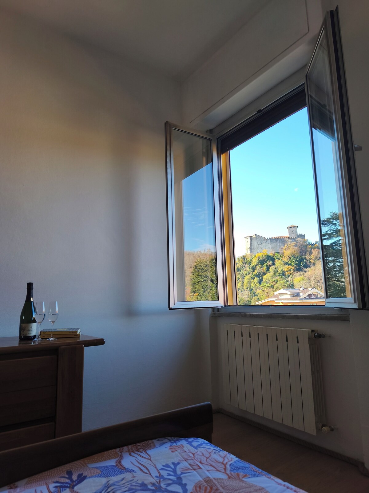 Imagen de perfil del propietario o de la propietaria