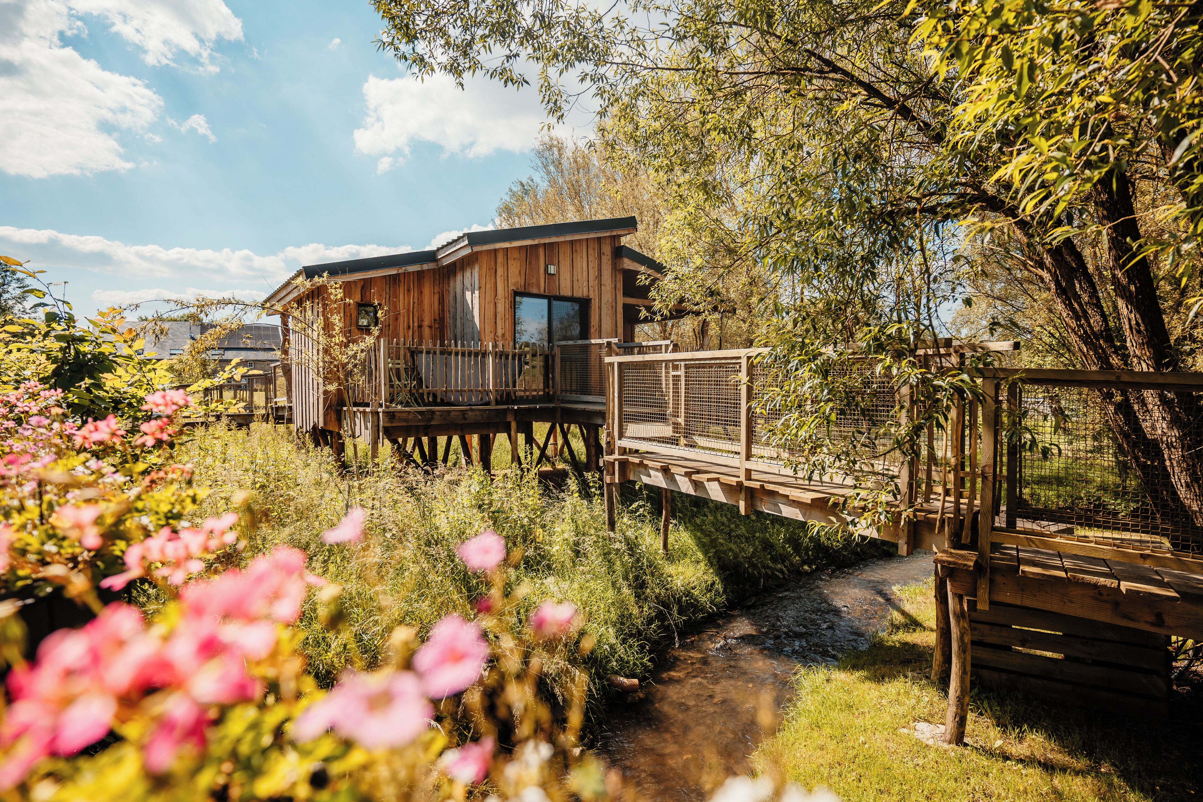 Terrein van de accommodatie