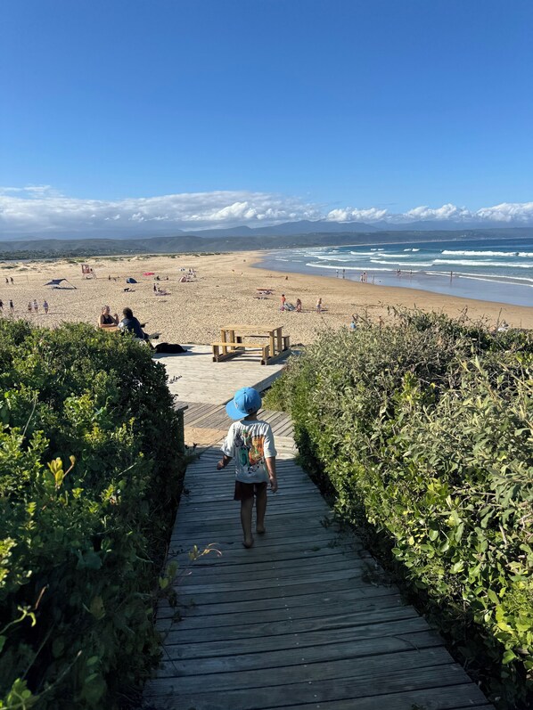 En la playa, camastros y toallas de playa 