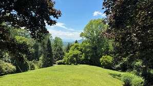 A well-maintained grassy lawn with dense trees and a clear sky. - Experience Stunning Sunsets & Mountain Views in a Cozy Retreat near Asheville (Fairview)