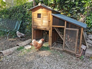 Terrein van de accommodatie