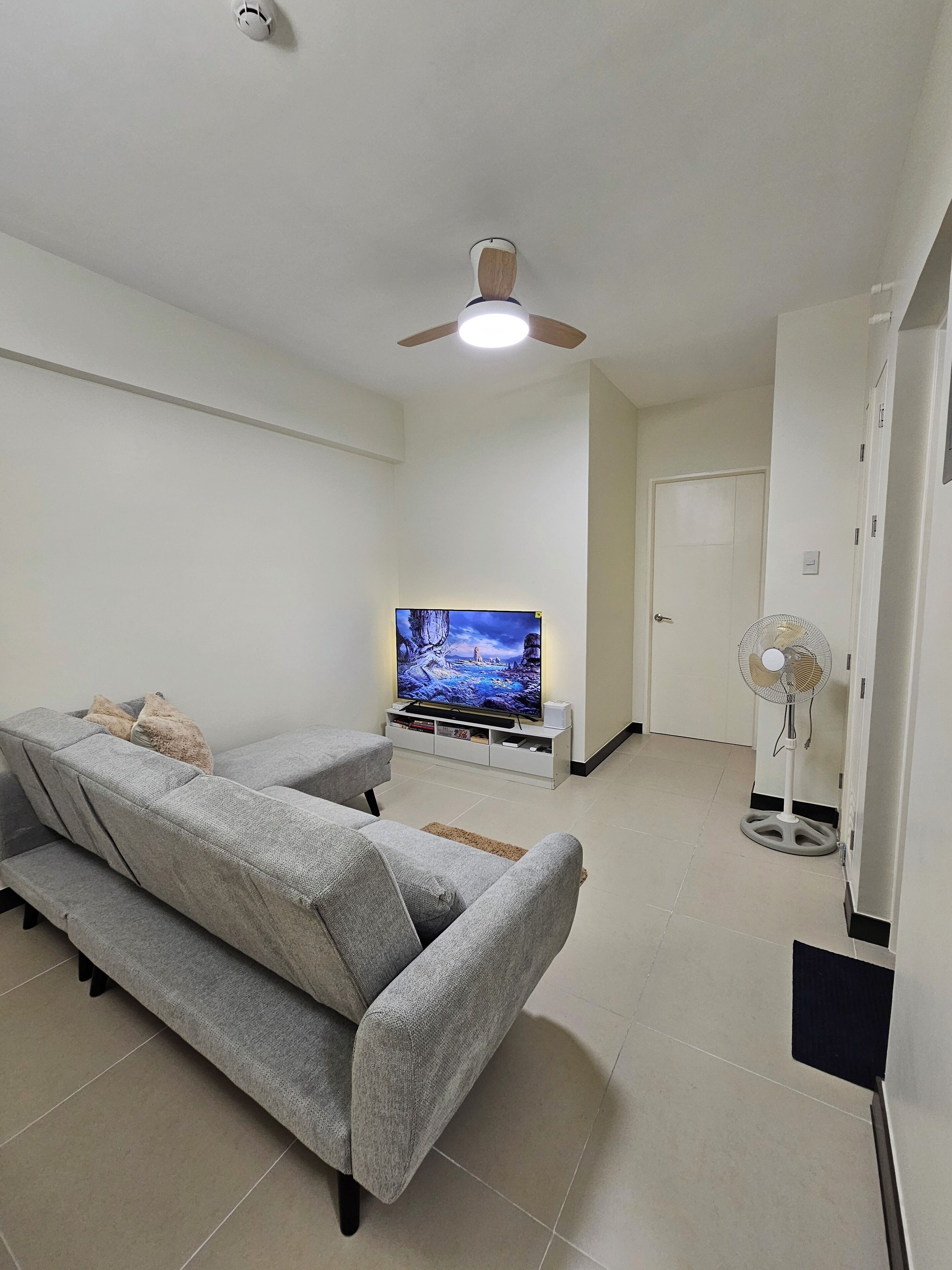 TV