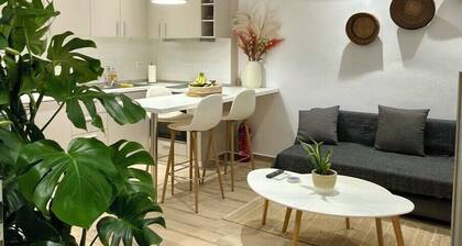 SkyChar Apt Ialysos Rhodes