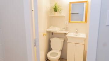 Bidet, towels, soap, toilet paper