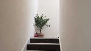 Una escalera estrecha con peldaños oscuros y paredes blancas, que conduce a una plataforma con una planta en maceta y un extintor.
