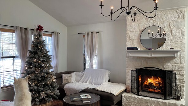 Un salon chaleureux avec une cheminée, un sapin de Noël et un chien.