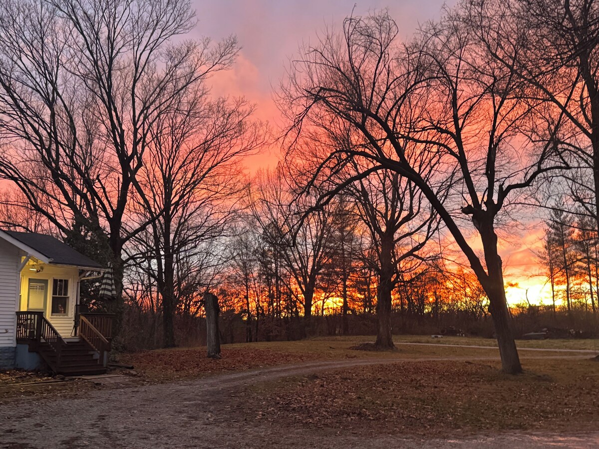 Imagen de perfil del propietario o de la propietaria