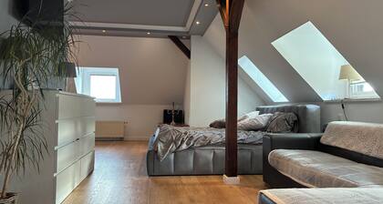 Top floor apartment in lovingly restored villa