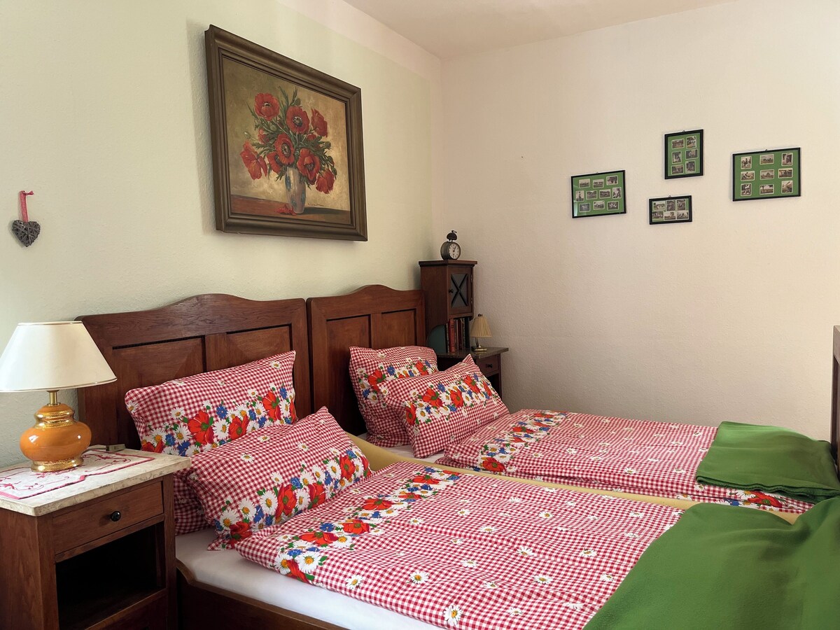 Imagen de perfil del propietario o de la propietaria