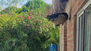 A patio with a patterned stone walkway, a brick wall, and a potted plant. - Cabaña el Eden is an ideal place for family relaxation. (Santa Verónica)