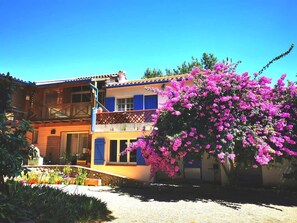 Exterior - Miro - ARGELES-SUR-MER (ARGELES-SUR-MER)