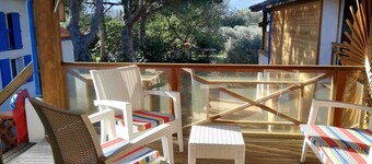 Miro - ARGELES-SUR-MER