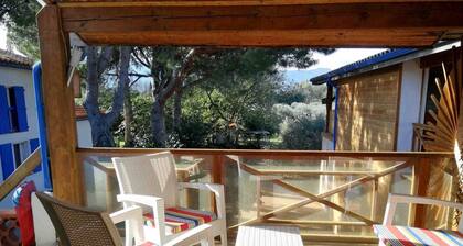 Miro - ARGELES-SUR-MER