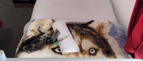 Ein Einzelbett mit weißer Matratze und Kissen, ein kleiner Nachttisch mit Pflanze und ein Metall-Kopfstück.