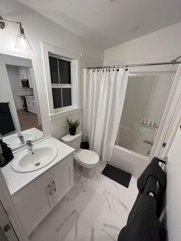 Hair dryer, towels, soap, toilet paper